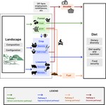 Landscape diversity and diet diversity. A roadmap for transdisciplinary research.